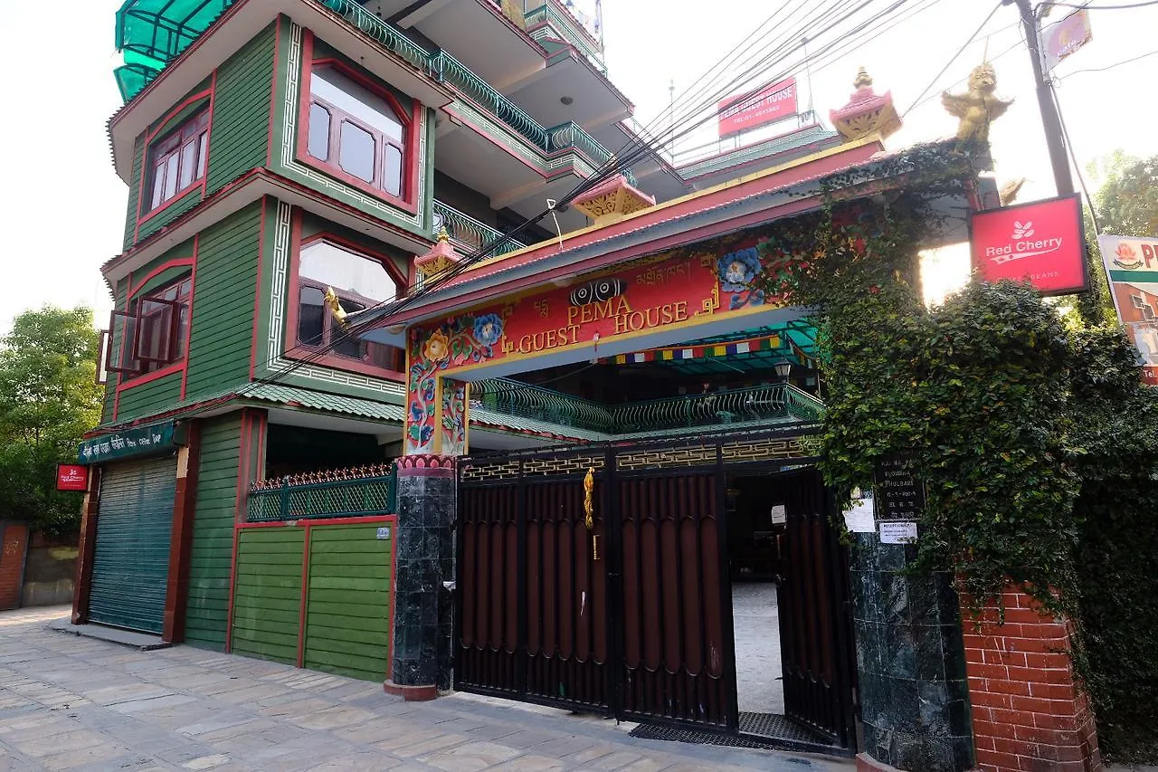Pema Guest House Kathmandu